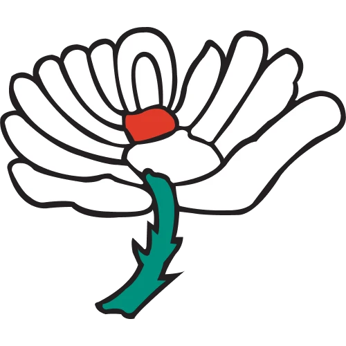 Yorkshire cricket fans choose Dafabet.